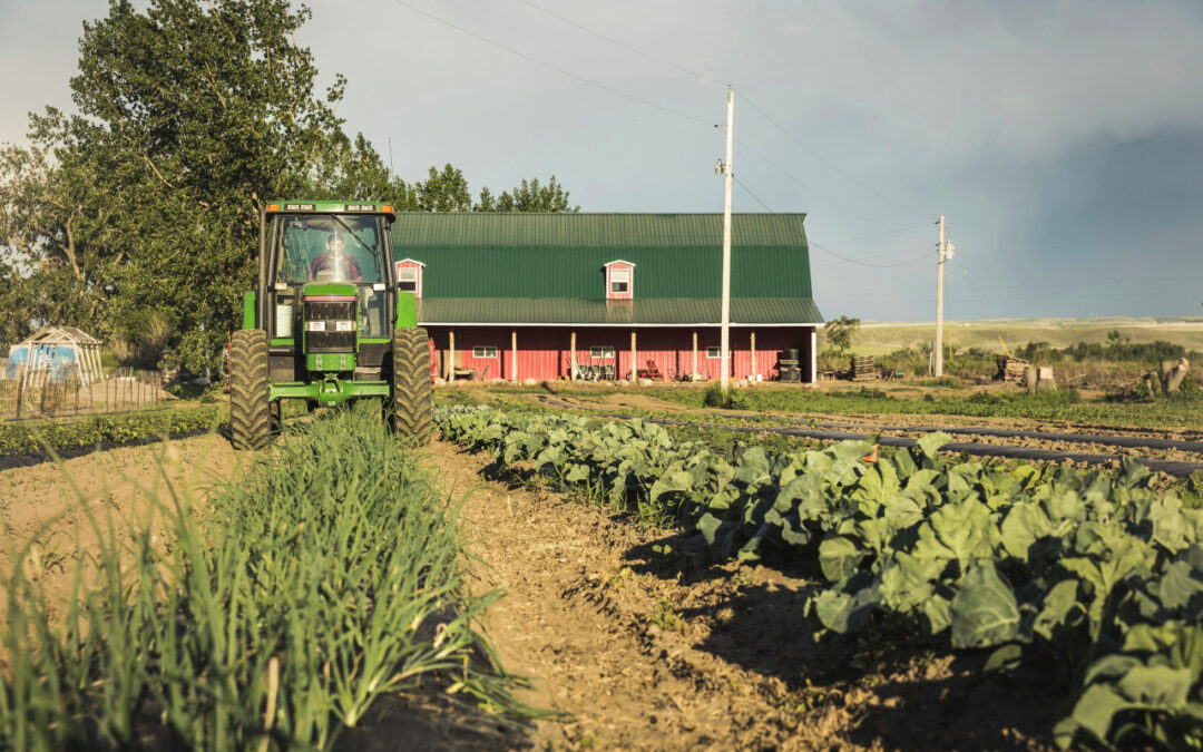 Jak przygotować gospodarstwo do zimy – porządki, konserwacja i sprzątanie po sezonie